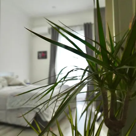 Bed & Breakfast Il Rio