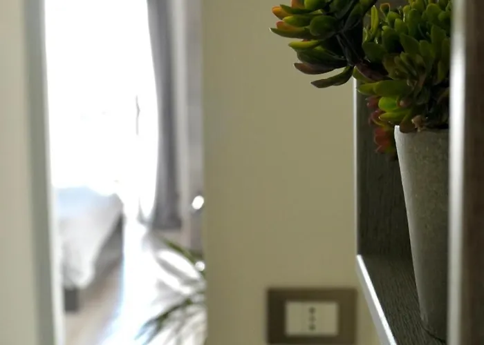 Il Rio לינה וארוחת בוקר