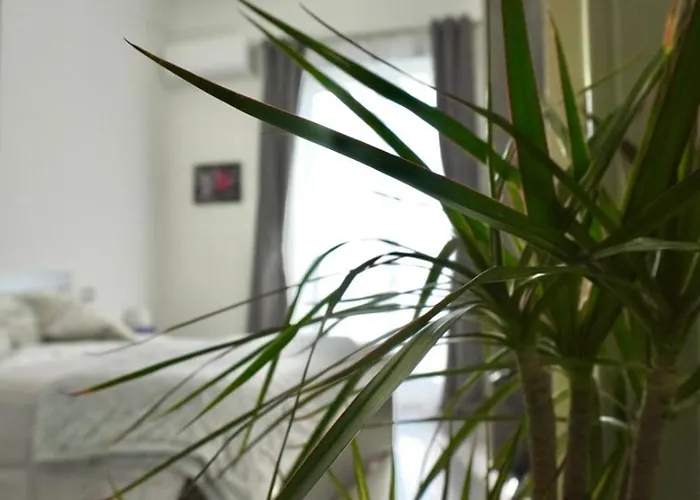 Bed & Breakfast Il Rio